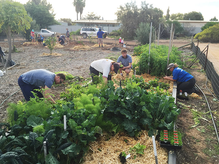 community garden