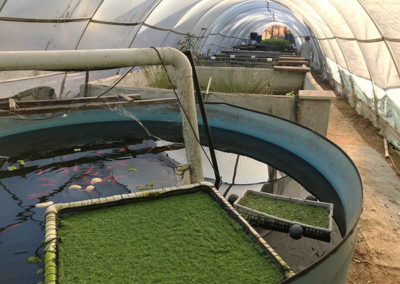 aquaculture